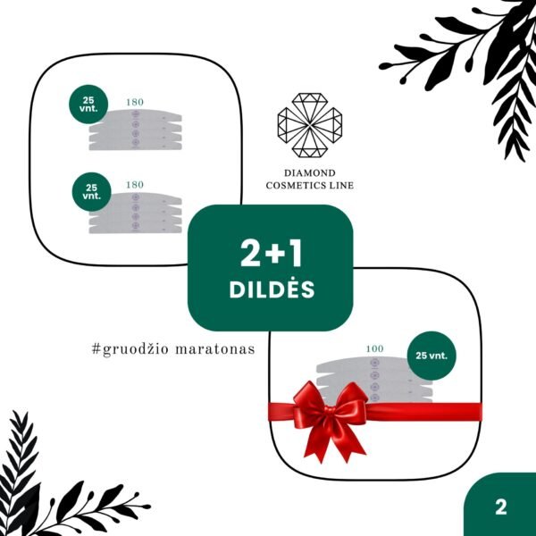 NR.2 🪄 DILDĖS 2+1